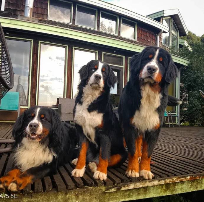 Casa Ankulenmó_Casa Ankulenmó