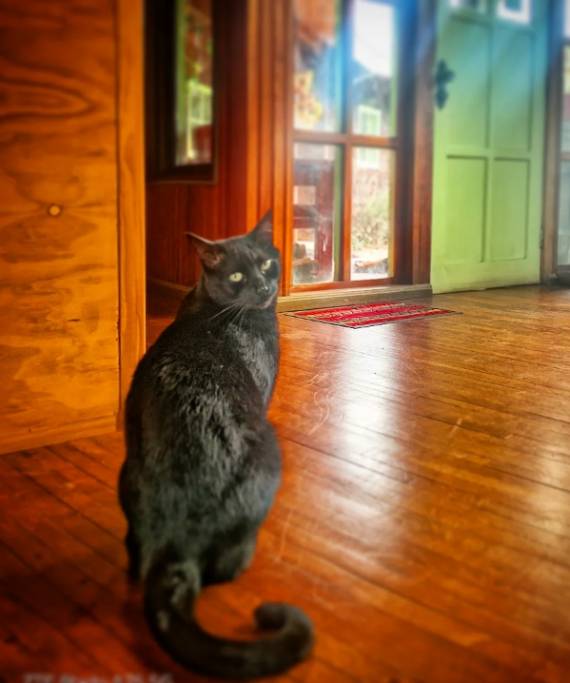 Casa Ankulenmó_Casa Ankulenmó