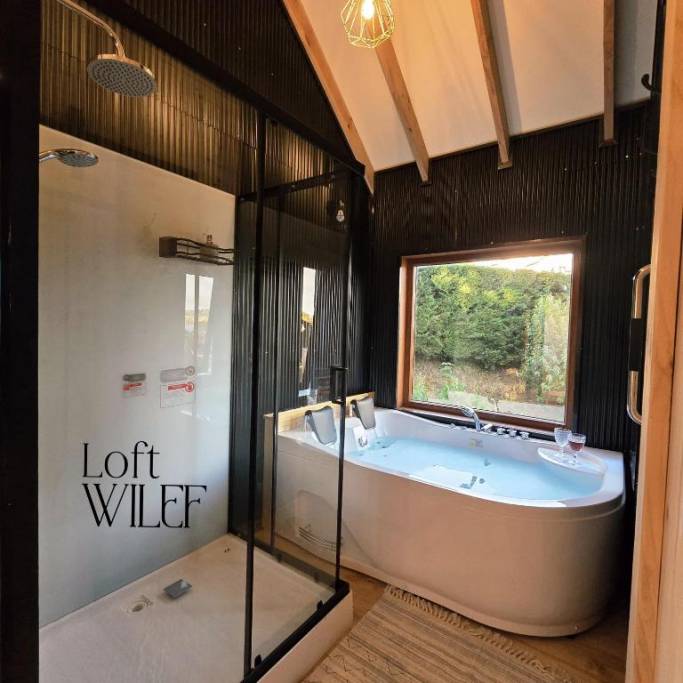 Loft Wilef