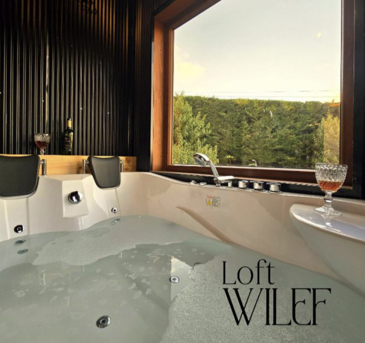 Loft Wilef