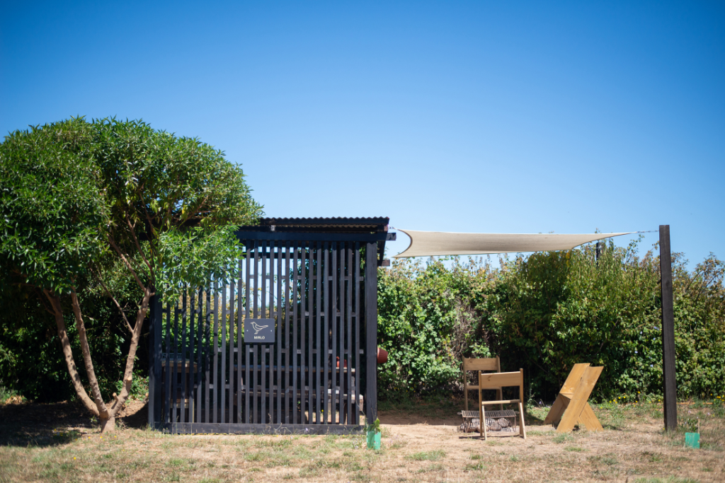 Queltehues concept camp