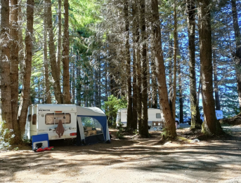 Ruta Camp Fuy - Huilo Huilo