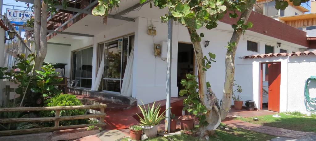 Palm Hostal